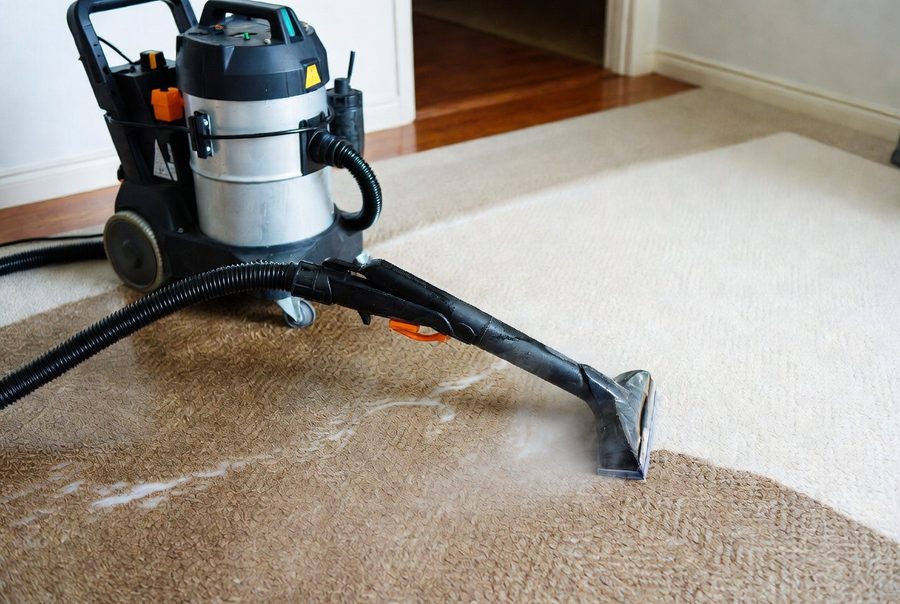 Carpet shampoo cleaning — Cleaning Recruit